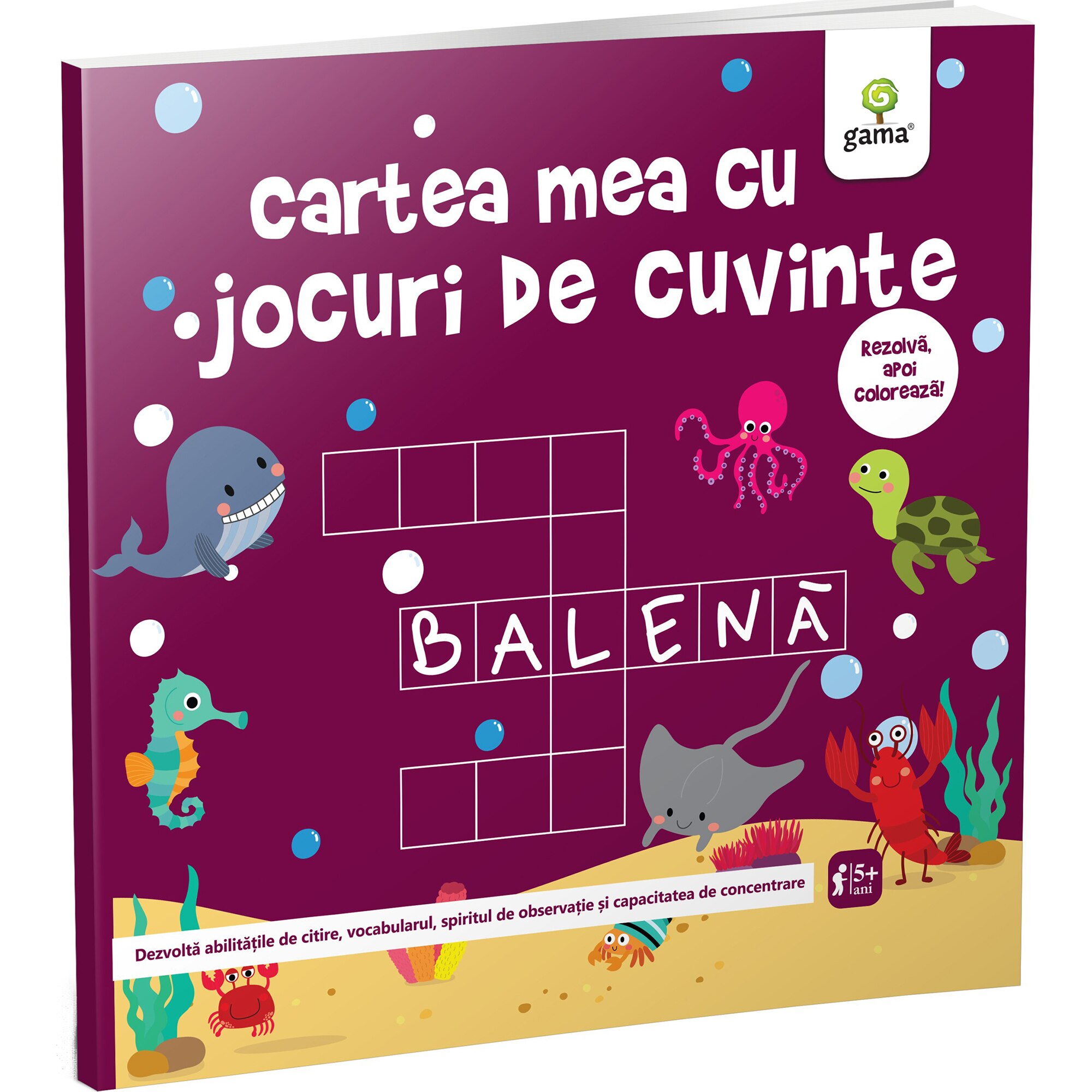 Cartea mea cu jocuri de cuvinte. Cartea mea de jucat si invatat